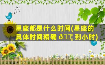 星座都是什么时间(星座的具体时间精确 🐦 到小时)